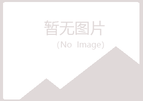 安图县南蕾能源有限公司